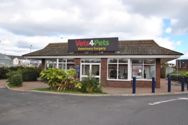 Vets4Pets - Larne Picture 4