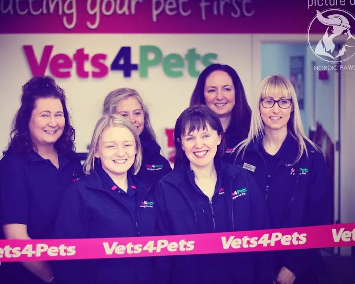Vets4Pets - Larne Picture 5