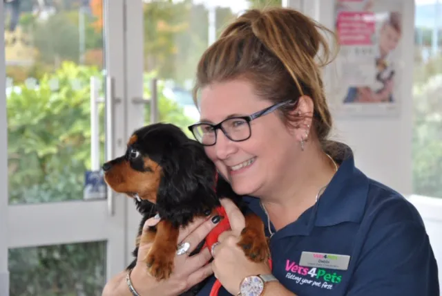 Vets4Pets - Larne Picture 2
