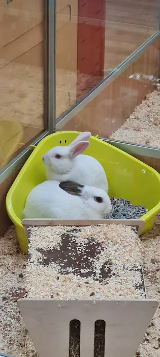 Pets at Home Boston Picture 2