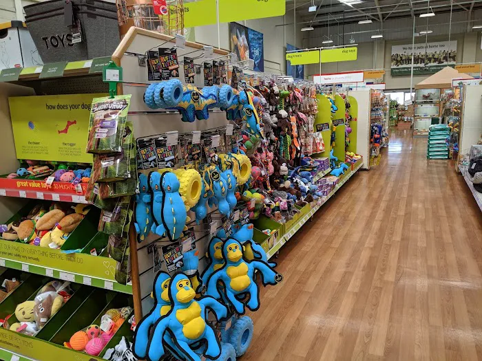 Pets at Home Boston Picture 4