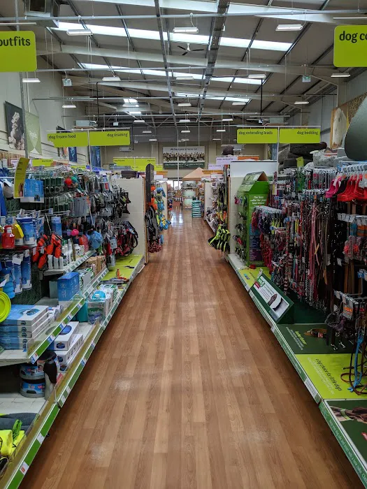 Pets at Home Boston Picture 10