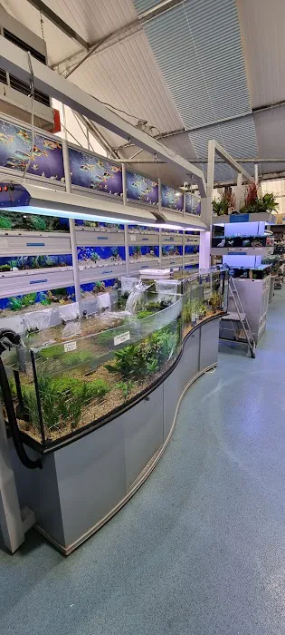 Boston Aquatics & Pets Picture 1