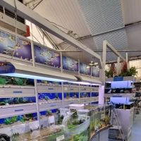 Boston Aquatics & Pets ico