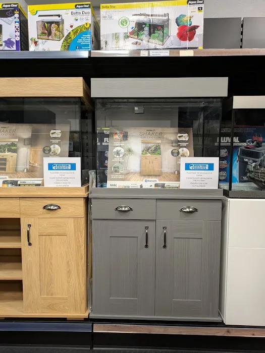 Boston Aquatics & Pets Picture 3