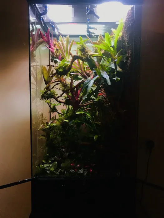 Planted Terraria Exotics Picture 4