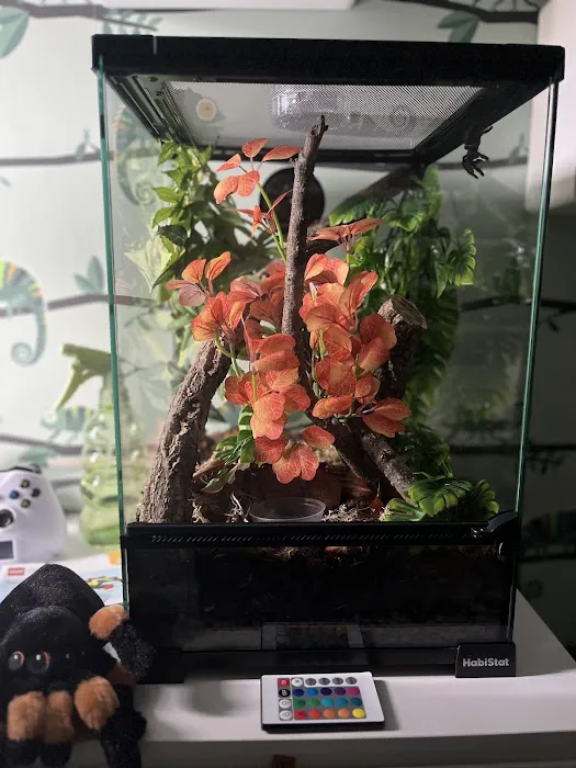 Planted Terraria Exotics Picture 5