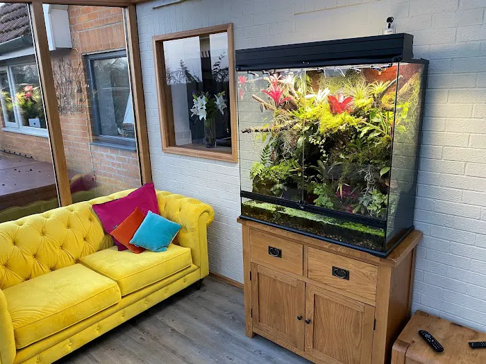 Planted Terraria Exotics Picture 3