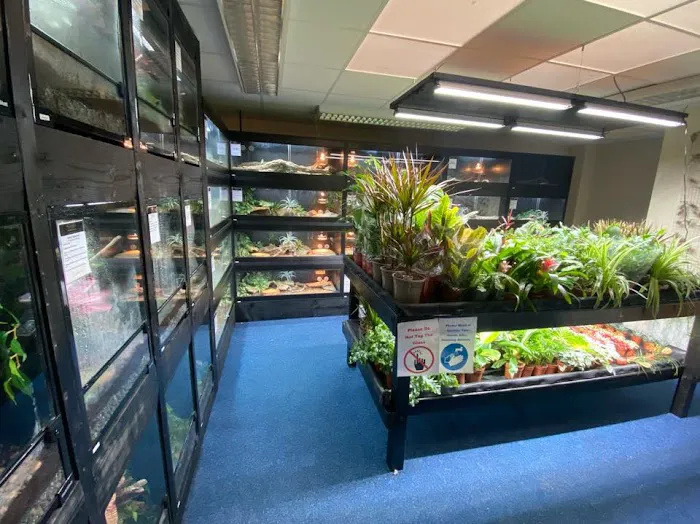 Planted Terraria Exotics Picture 2