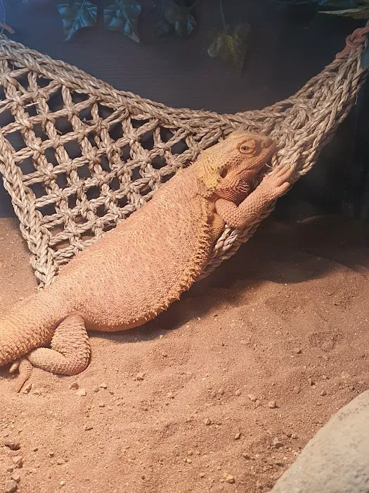 Planted Terraria Exotics Picture 9