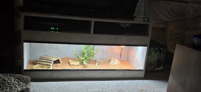 Planted Terraria Exotics Picture 7