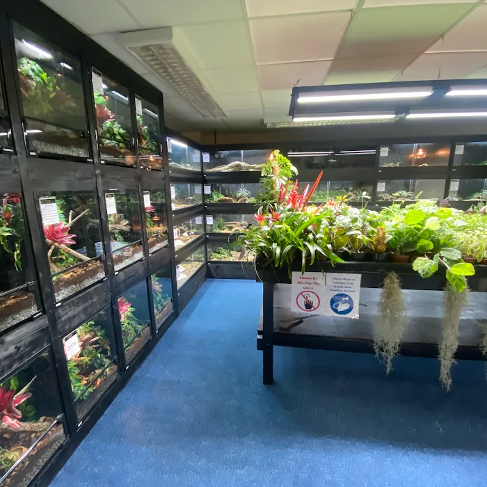 Planted Terraria Exotics Picture 10