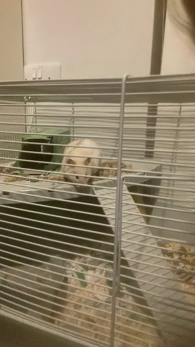 Pets at Home Spalding Picture 6