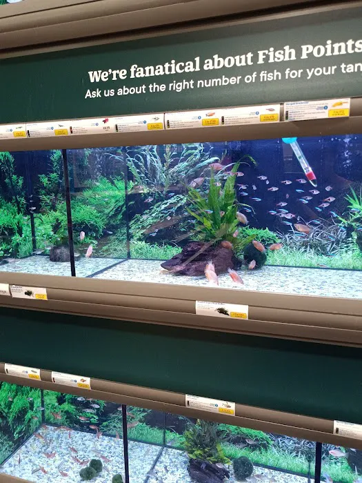 Pets at Home Spalding Picture 10