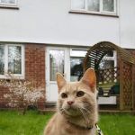 Rase Veterinary Centre