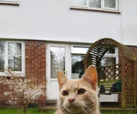 Rase Veterinary Centre