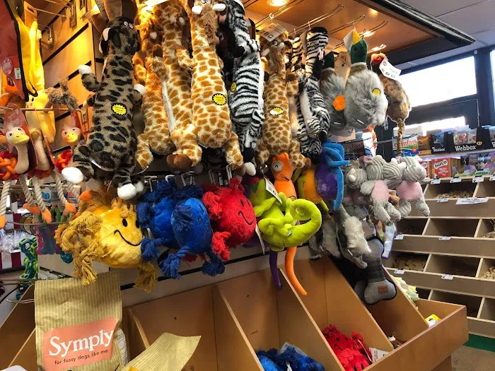 ma Pet Shop Bourne Picture 5