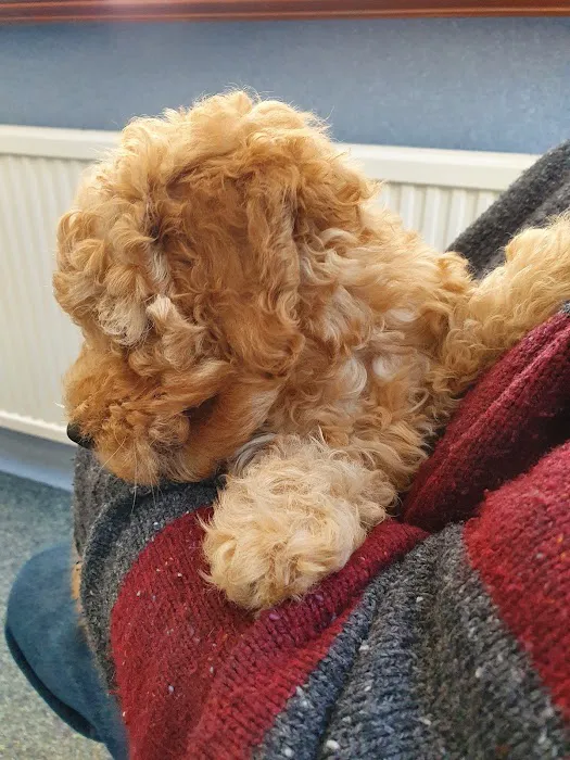 Abbey Veterinary Centre Picture 5