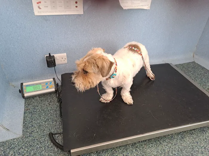 Abbey Veterinary Centre Picture 4