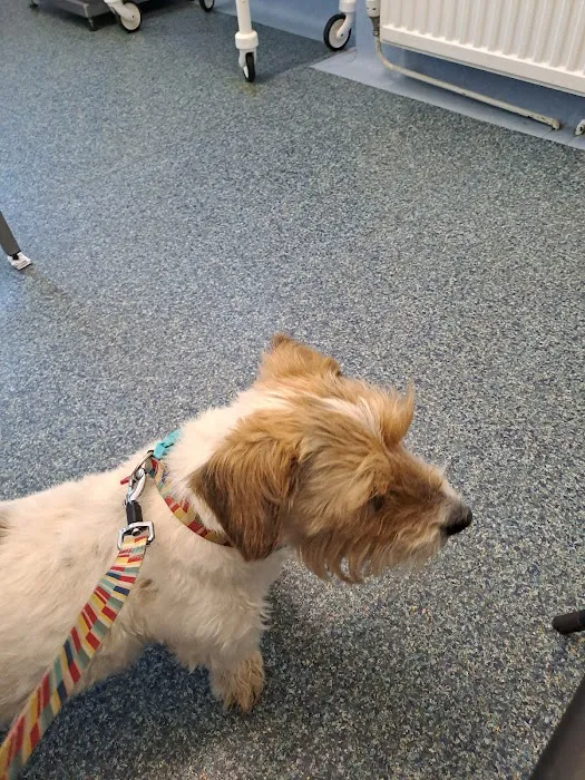 Abbey Veterinary Centre Picture 10