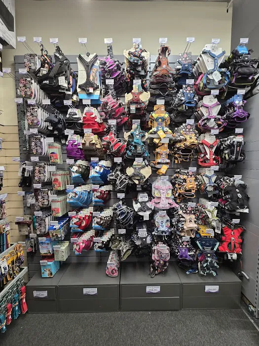 Pet Stop Market Deeping Picture 1