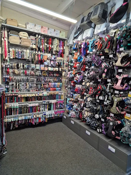 Pet Stop Market Deeping Picture 5