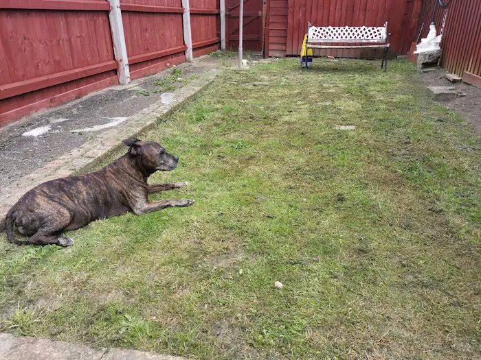 Blue Cross animal hospital, Grimsby Picture 1