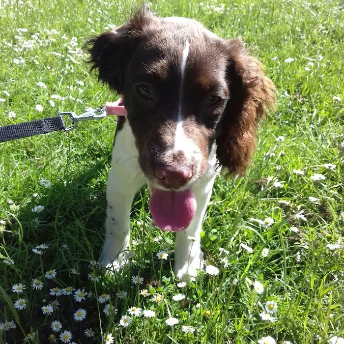 Blue Cross animal hospital, Grimsby Picture 7