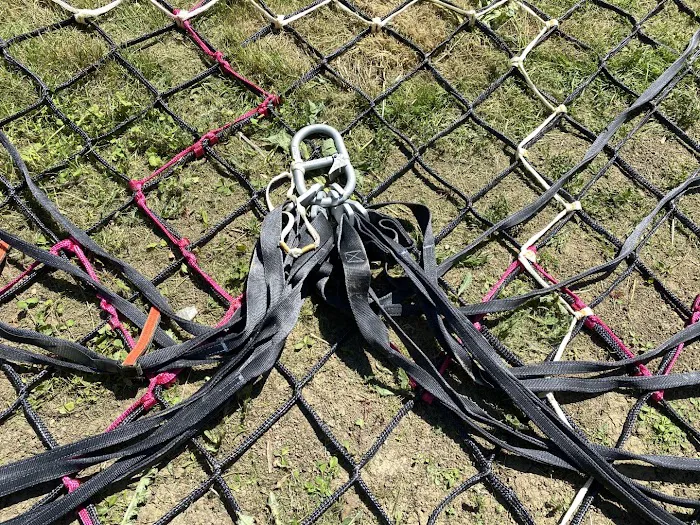 Petlife International Ltd Picture 1