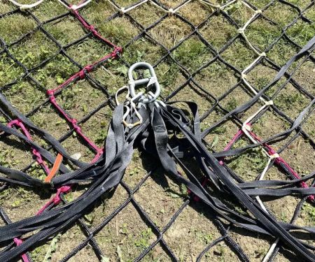 Petlife International Ltd