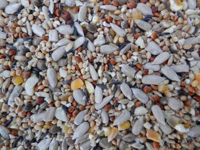 Kennedy Wild Bird Food & Pet Supplies Picture 7