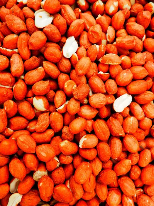 Kennedy Wild Bird Food & Pet Supplies Picture 8