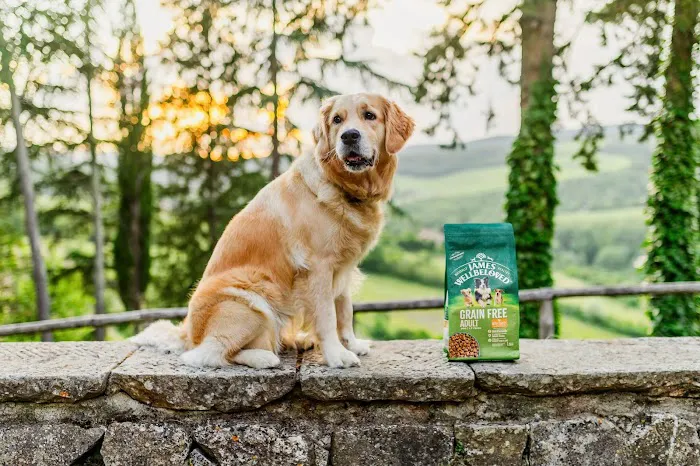 Kennedy Wild Bird Food & Pet Supplies Picture 10