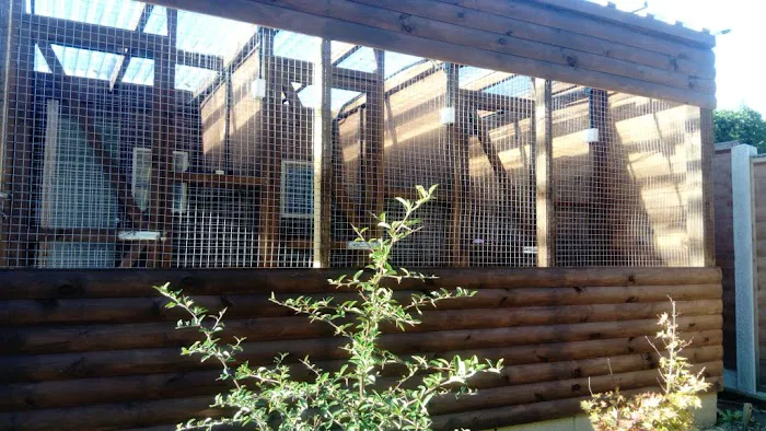 purr-inn bradford Picture 5