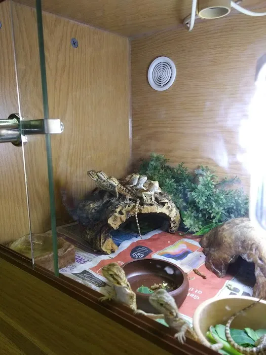 Predators Picture 10