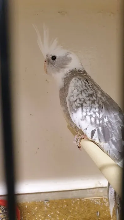 Darvill's Pets Gardens and Florist Picture 5