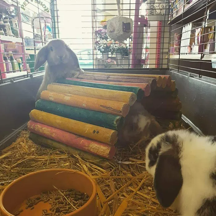 Darvill's Pets Gardens and Florist Picture 2