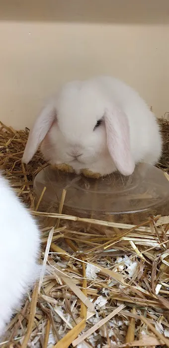 Darvill's Pets Gardens and Florist Picture 3