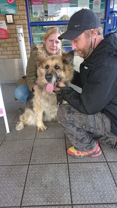 Bradford PDSA Pet Hospital Picture 5