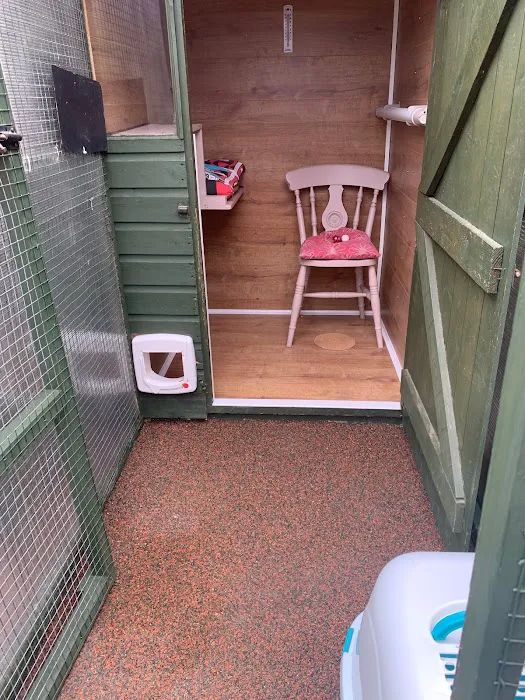 Andilees Boarding Cattery Picture 2