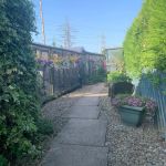 Andilees Boarding Cattery