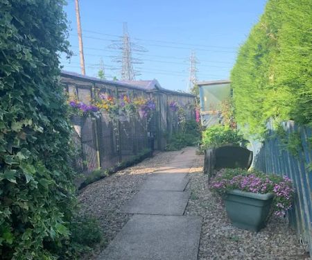 Andilees Boarding Cattery