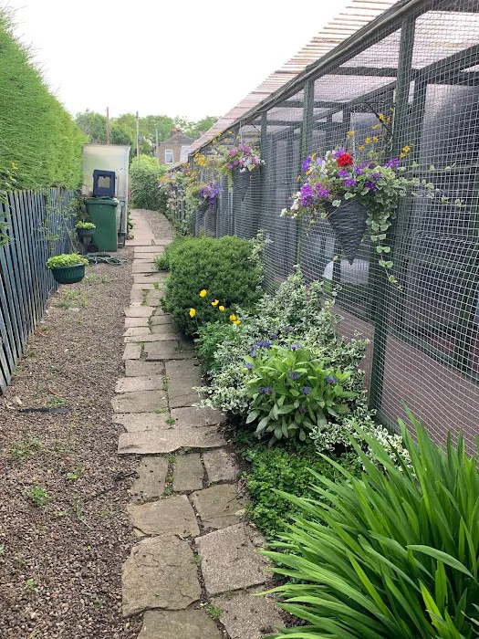 Andilees Boarding Cattery Picture 5