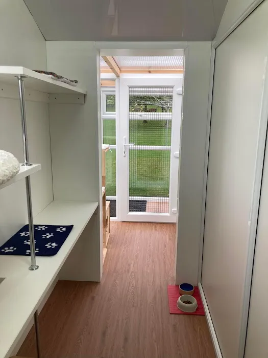 Acer Lodge Cattery Picture 2