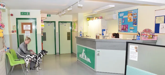 Abbey House Vets in Cleckheaton Picture 5
