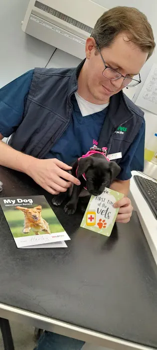 Vets4Pets - Brighouse Picture 5