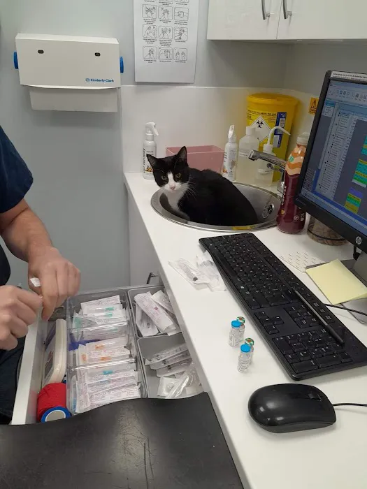 Vets4Pets - Brighouse Picture 3