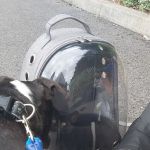 Vets4Pets - Brighouse