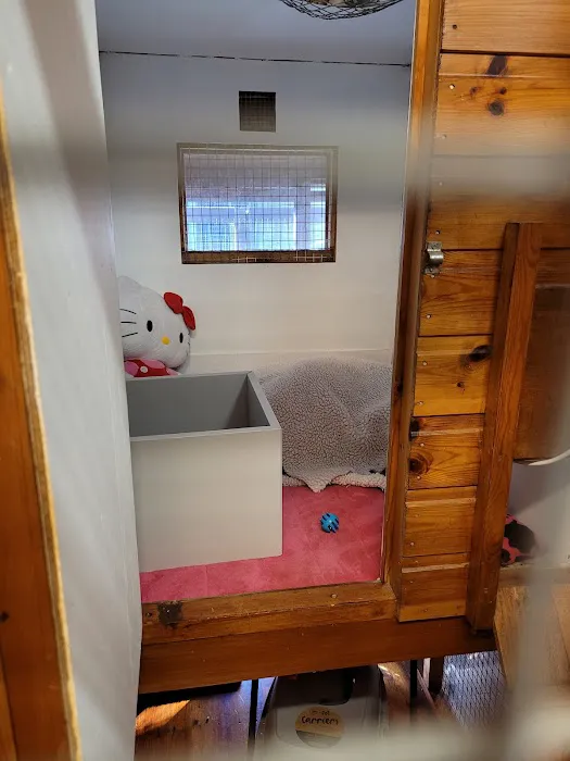 Purrfect Cattery Picture 2