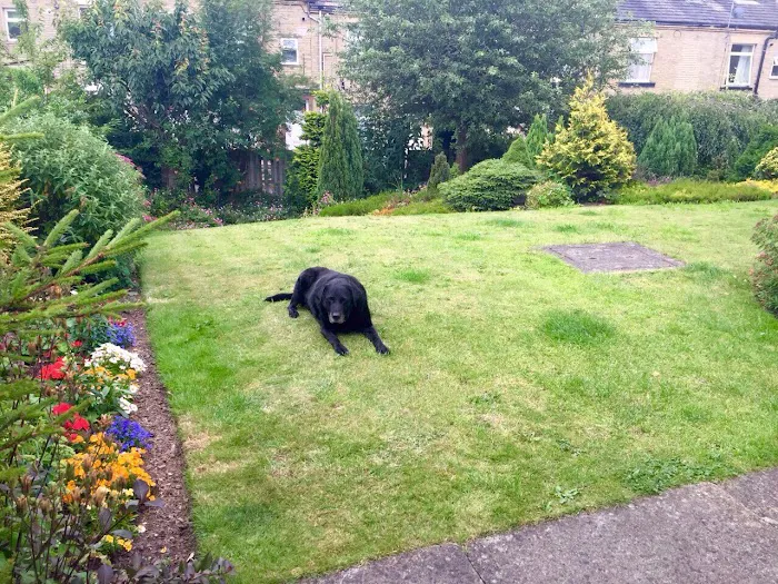 Brighouse Veterinary Centre Ltd Picture 10